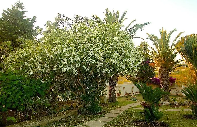 La Rosa Sul Mare Aparthotel Syracuse